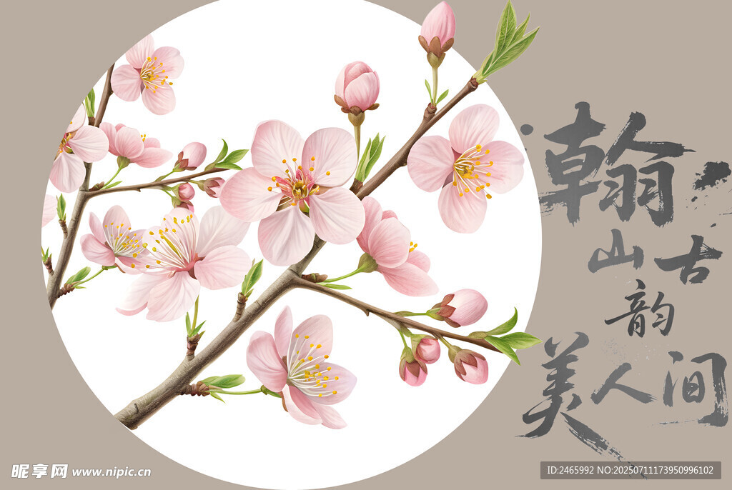 桃花插图