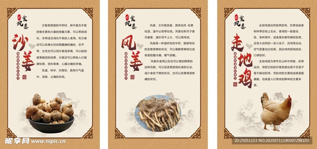 沙姜鸡海报简介