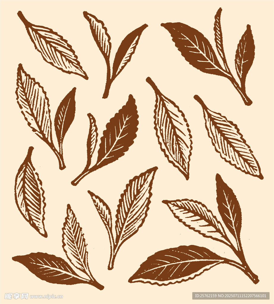 手绘茶叶