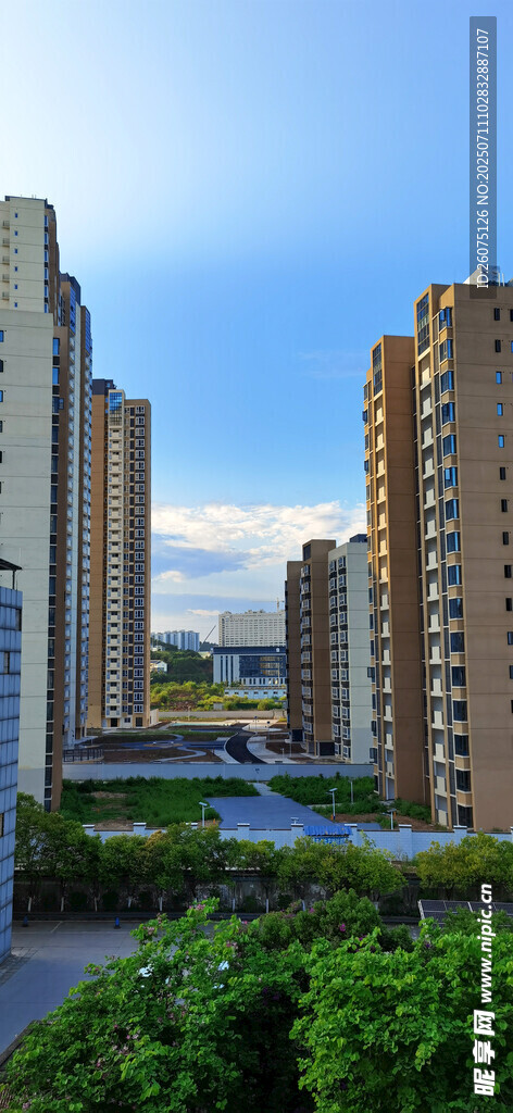 城市绿植环绕的高楼景观