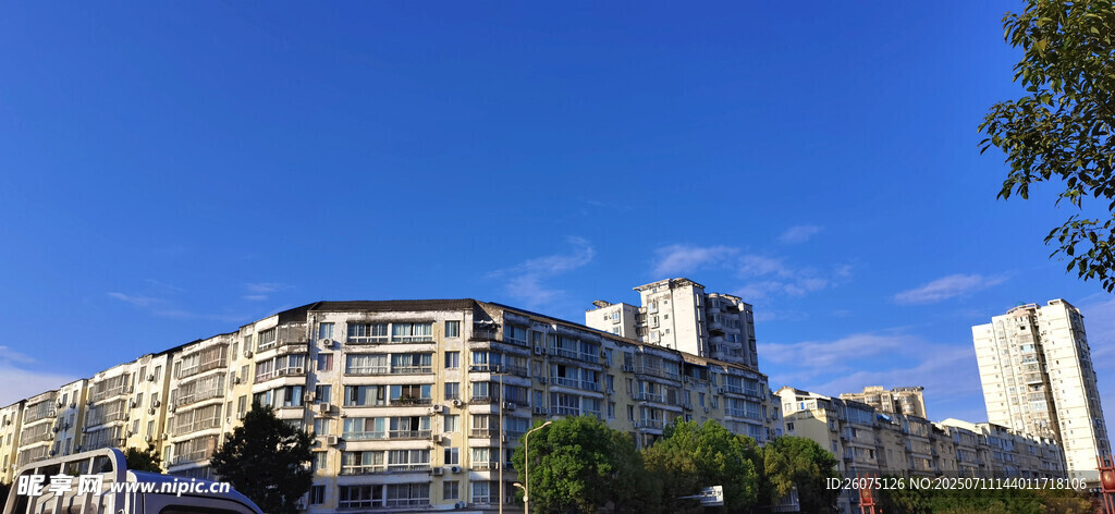 城市建筑群蓝天绿树景观