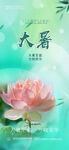 大暑节气海报