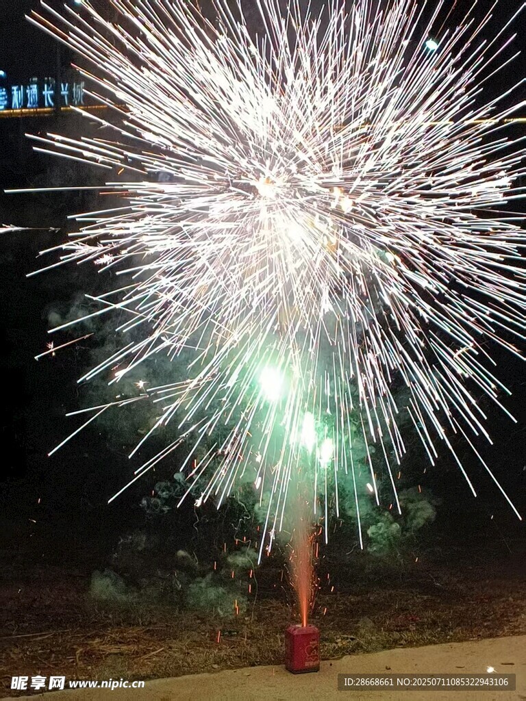夜赏绚烂烟花的行人