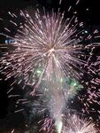 绚丽烟花绽放夜空