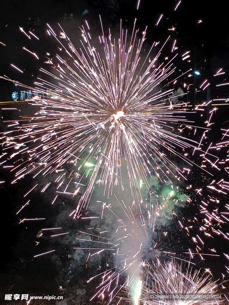 绚丽烟花绽放夜空