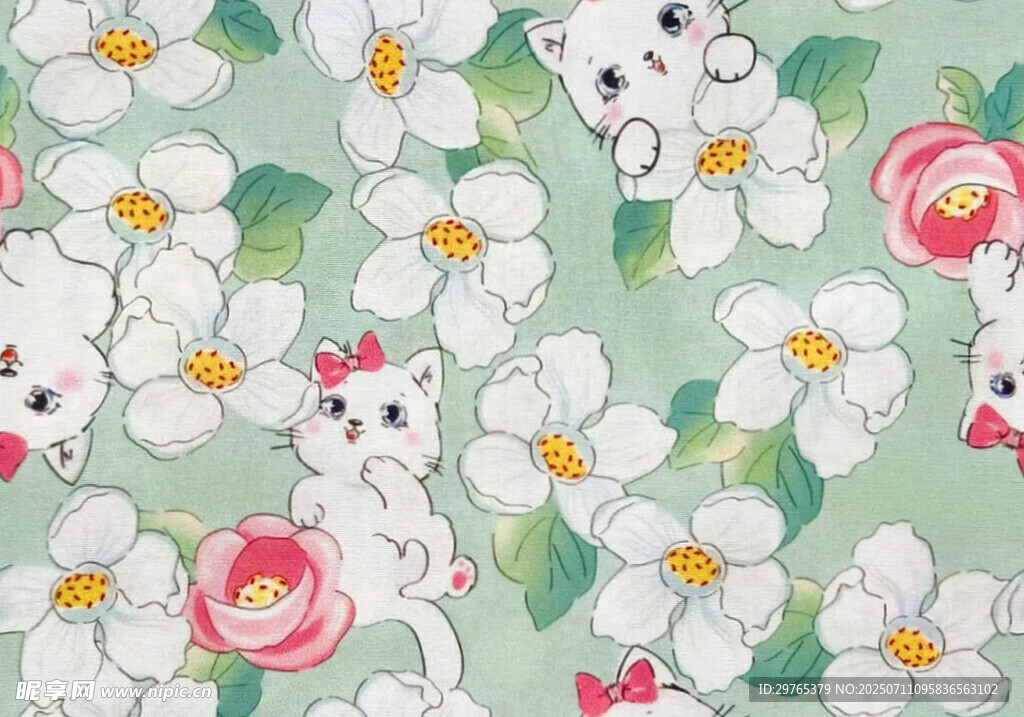 小猫与花朵