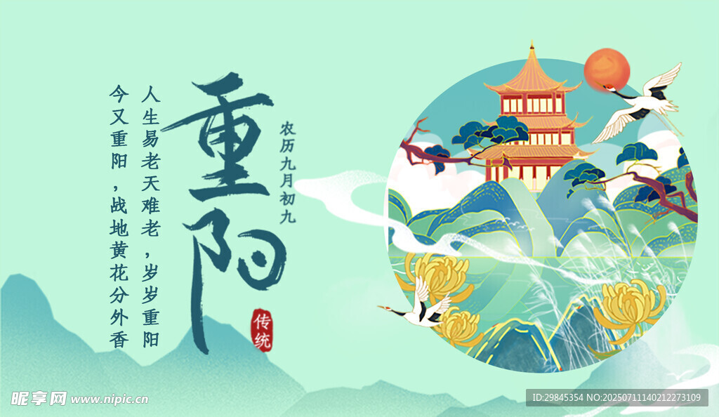 重阳佳节插画