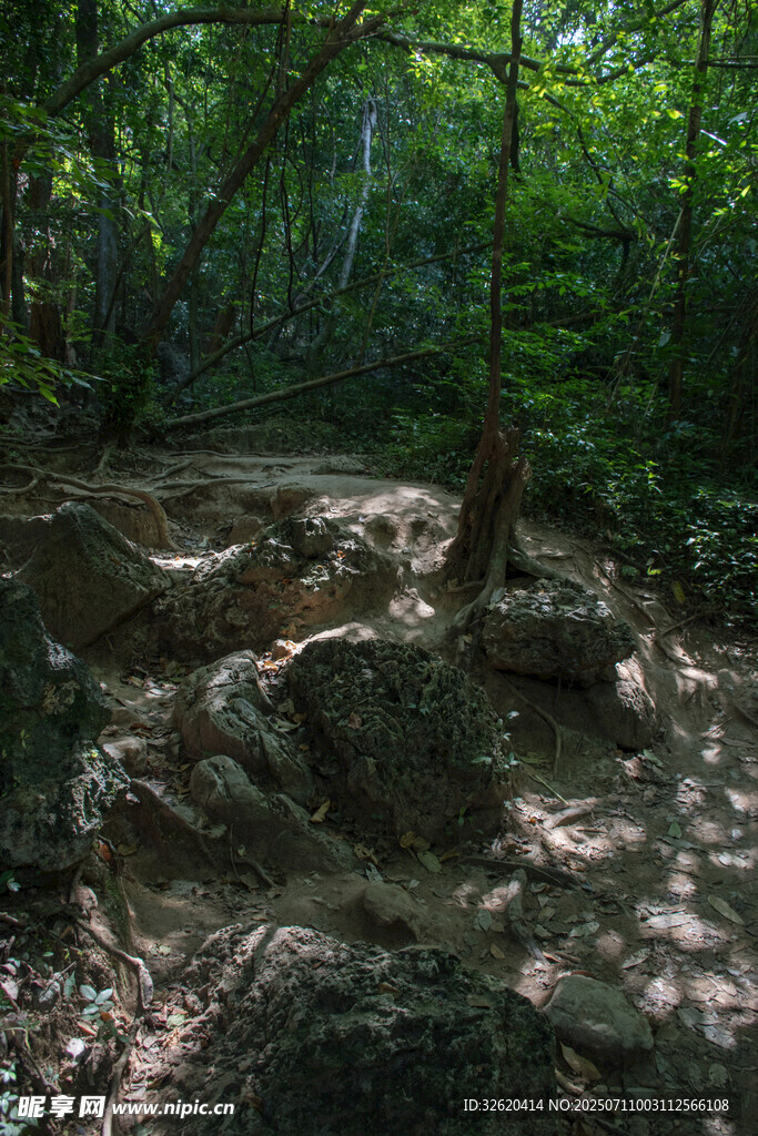 山林间的崎岖岩石小径