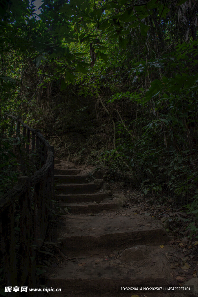 林间石阶小道