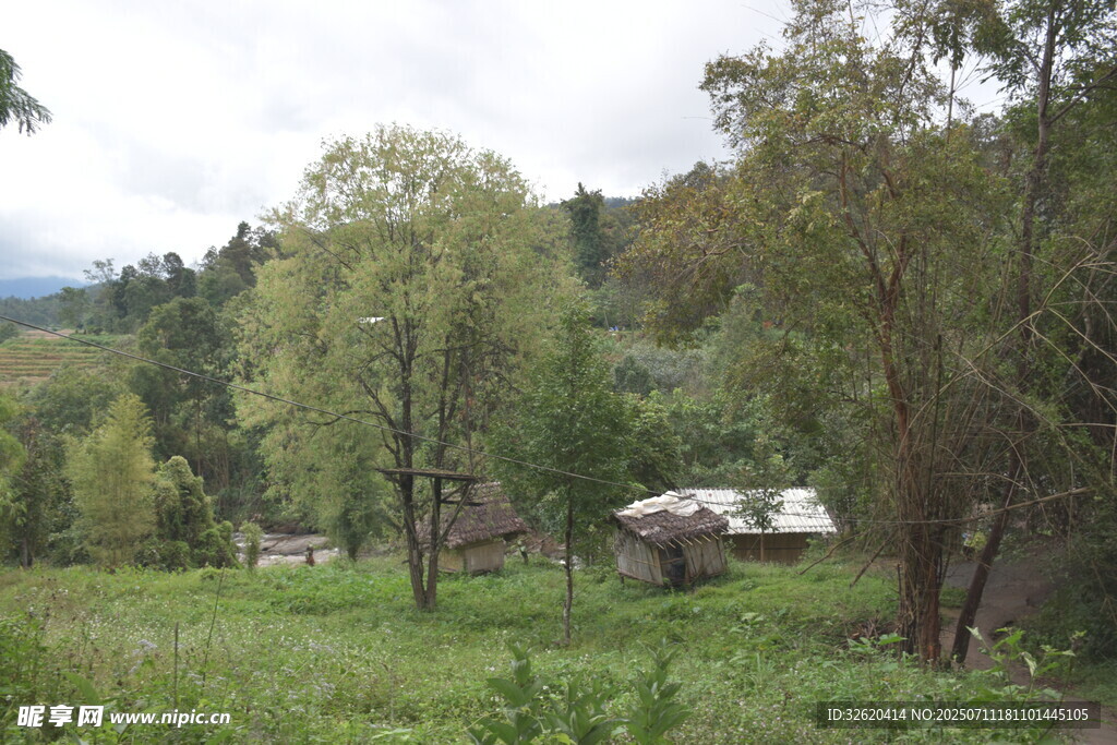 乡村绿野中的静谧小屋
