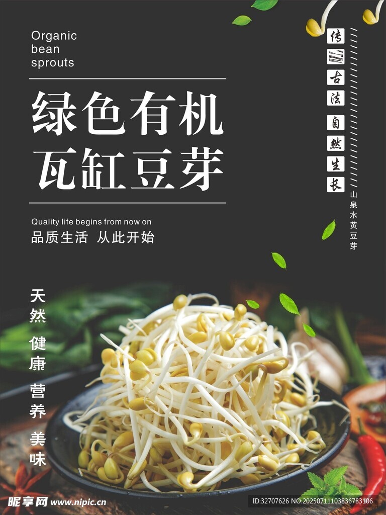 绿色有机瓦缸豆芽