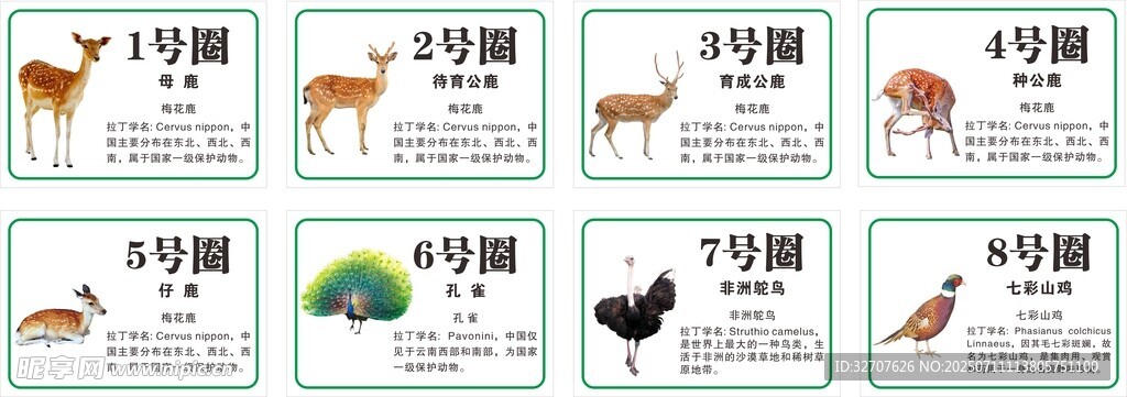动物养殖