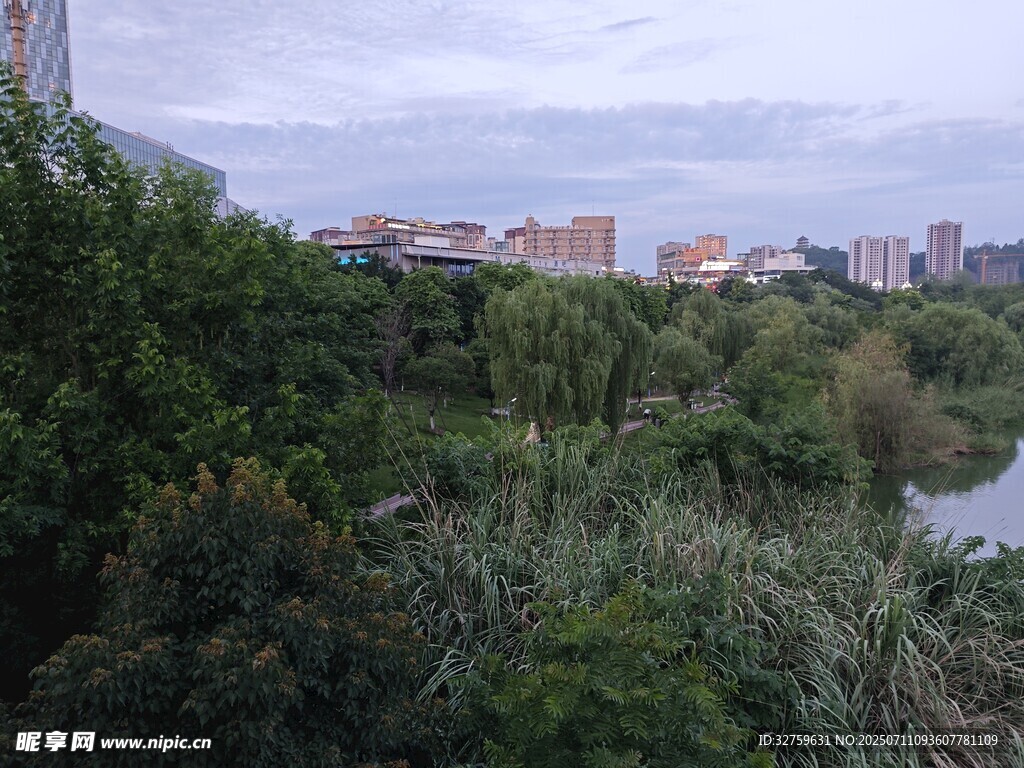 城市边缘的绿植与建筑景观