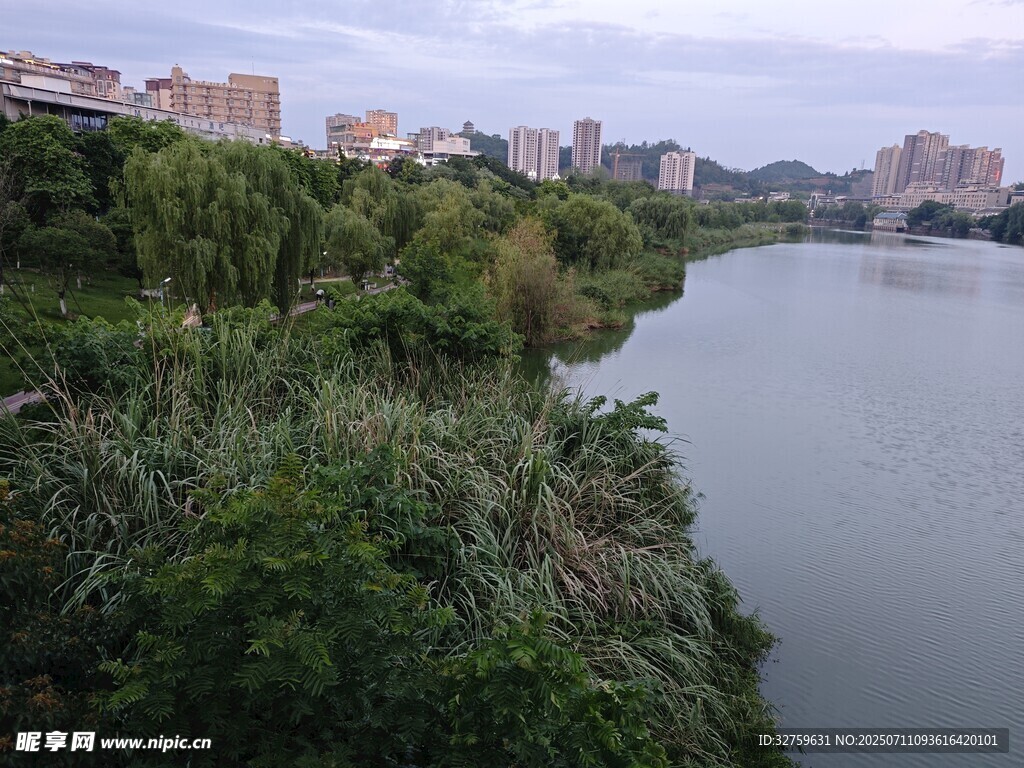 河畔绿植与远处城市景观