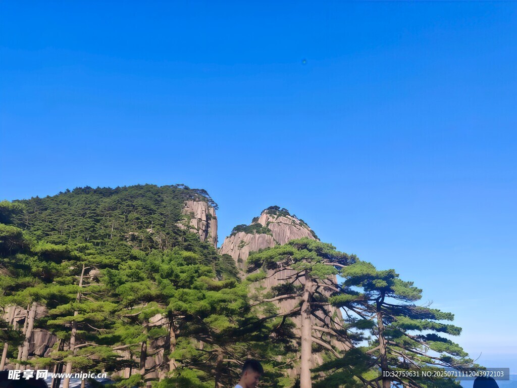 黄山奇峰与苍松美景