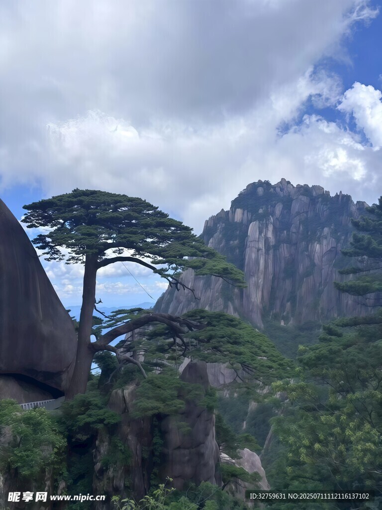 黄山奇松与壮丽山峦