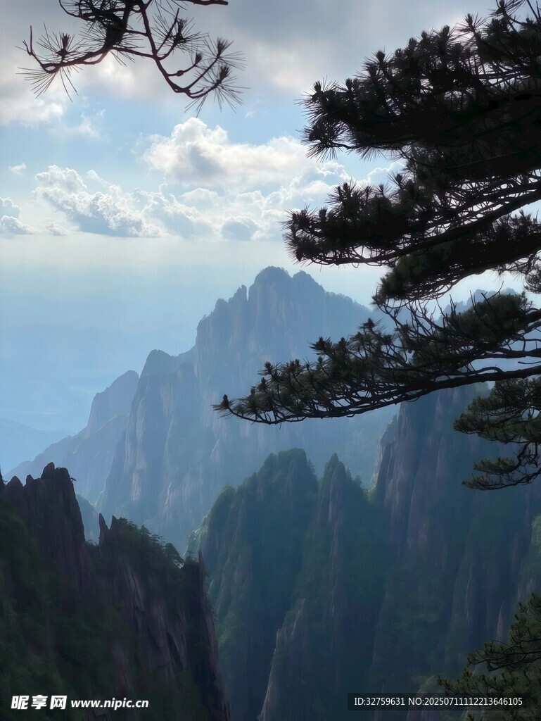壮丽山景与松枝