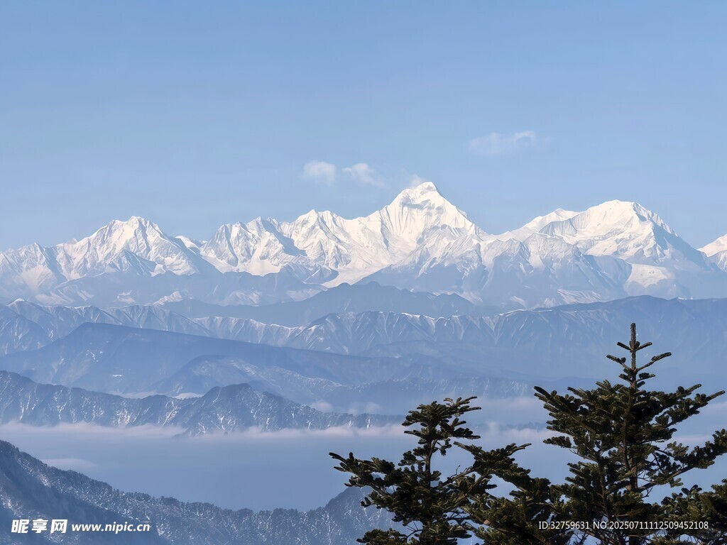 雪山远景与前景树木景观