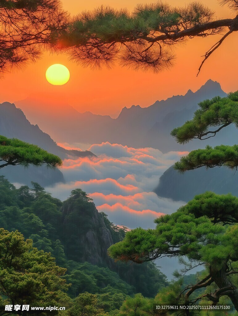 日出山林间壮丽美景