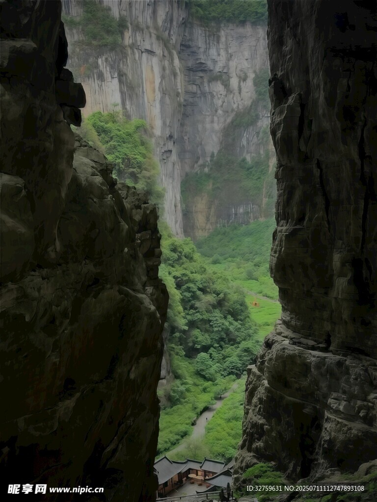 山间岩石缝隙中的绿意