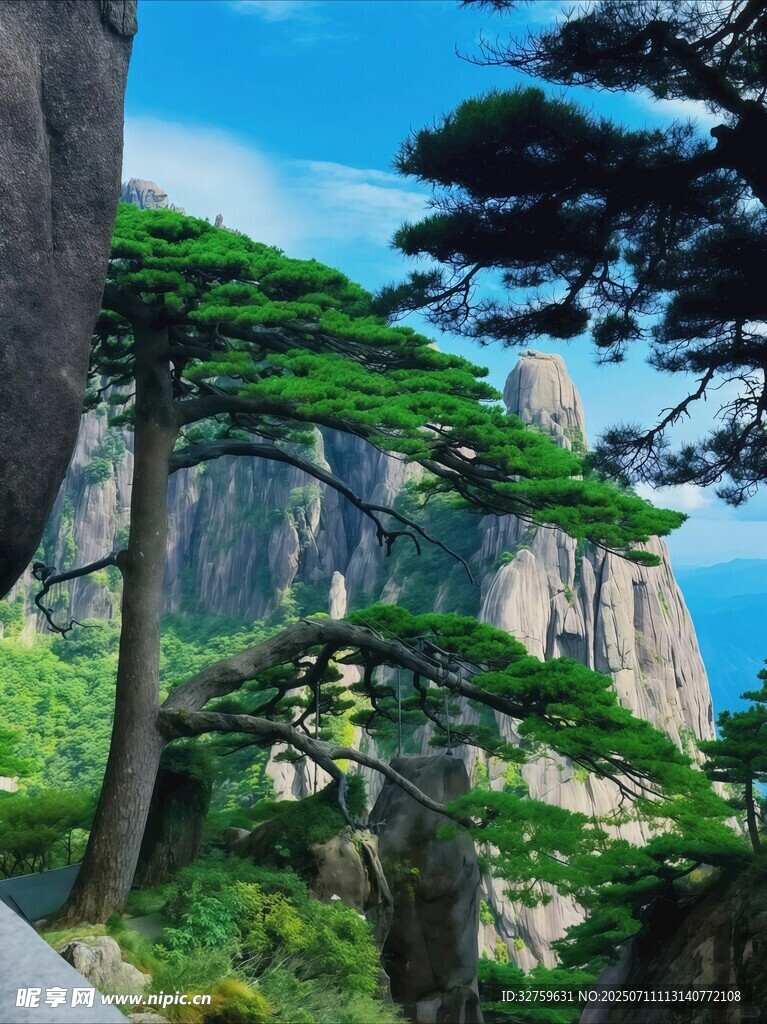 黄山奇松与壮丽山景