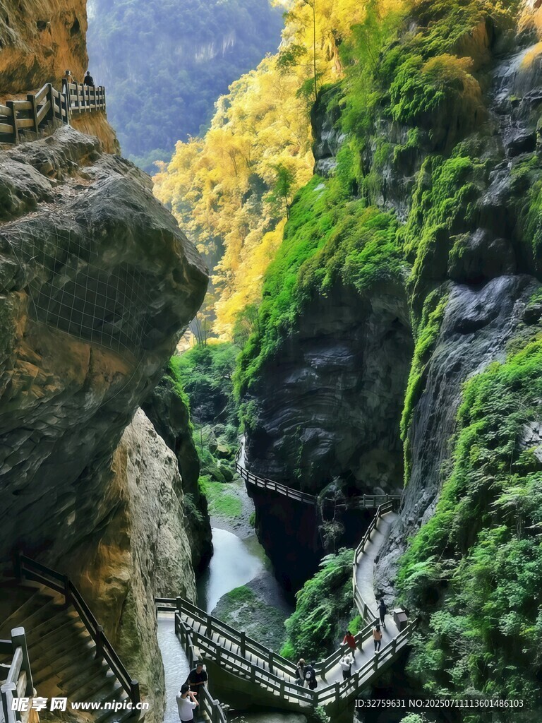 山间栈道旁的壮丽峡谷景观