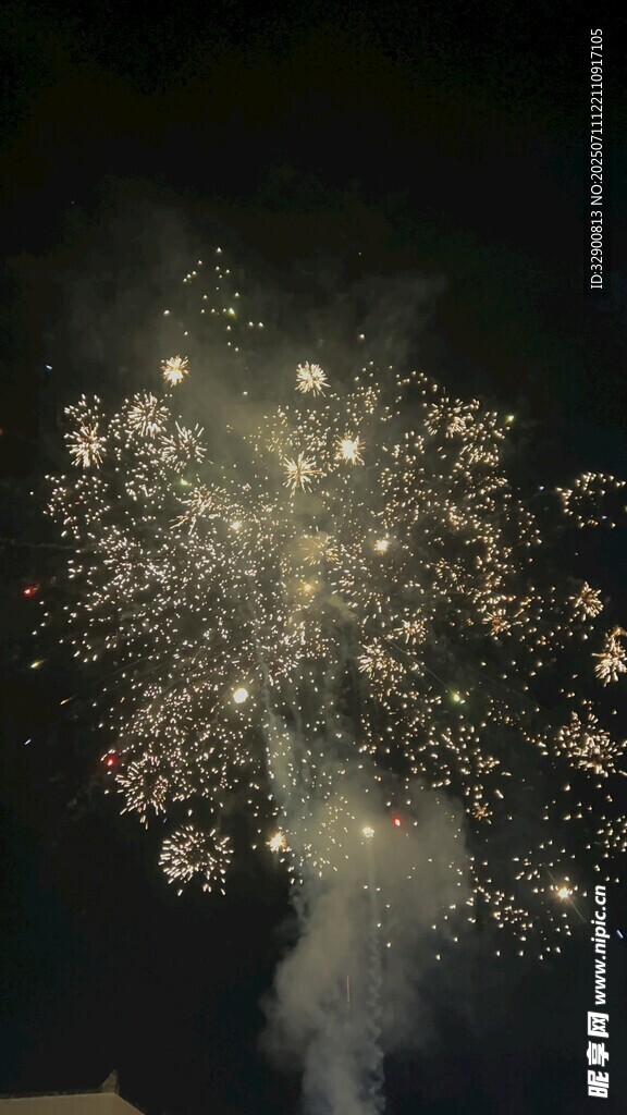 夜空中绚烂的烟花绽放