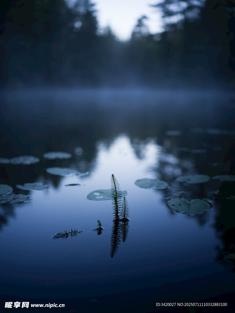 雾中湖面