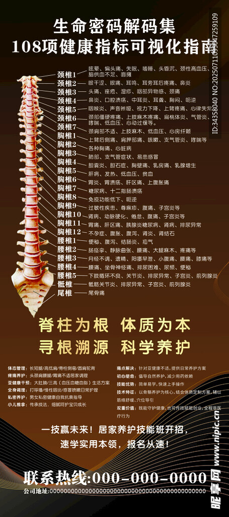 脊椎展架