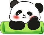 沉思可爱竹子熊猫