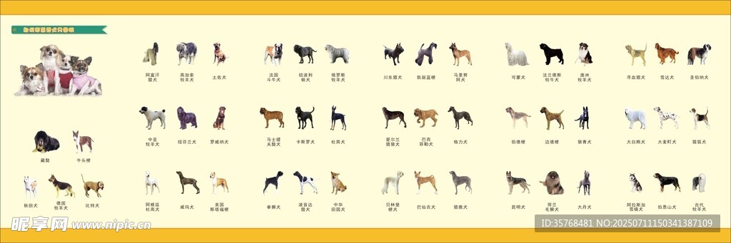 多样动物图标集合