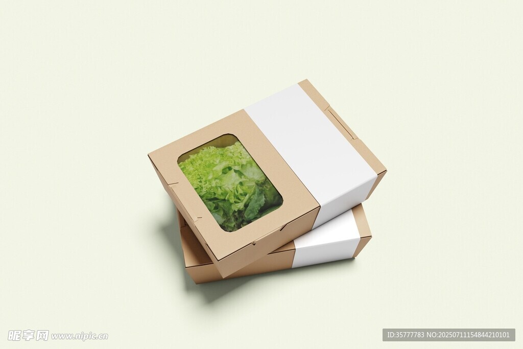 蔬菜包装盒样机