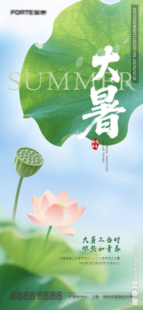 大暑海报