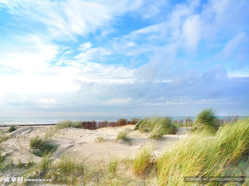 海边沙丘美景