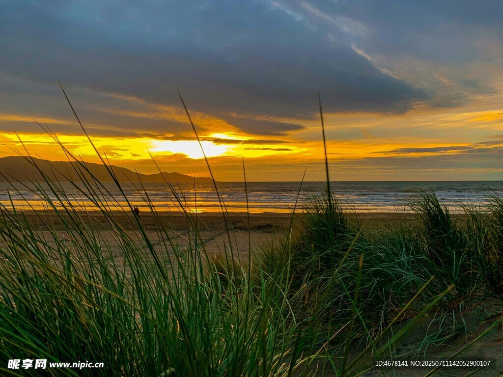 夕阳下的海滨草地美景
