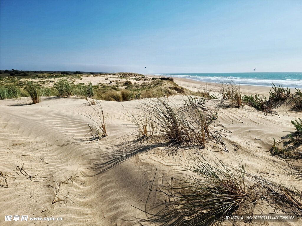 海边沙丘景观