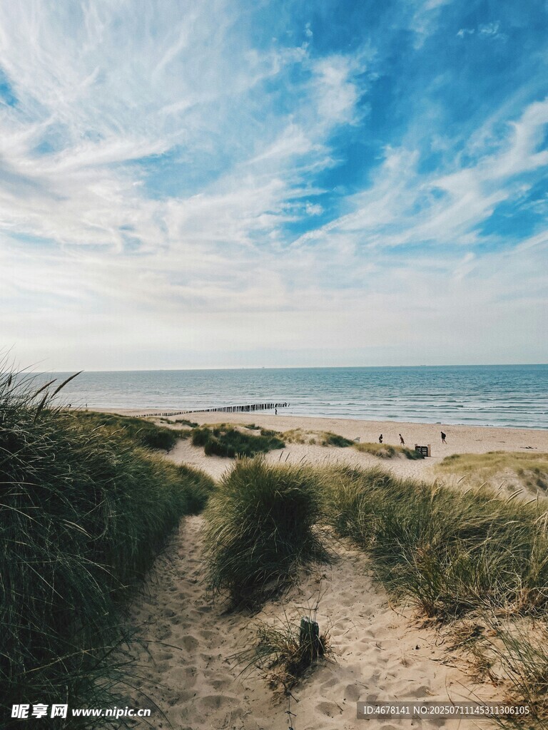 海边沙径邂逅自然美景