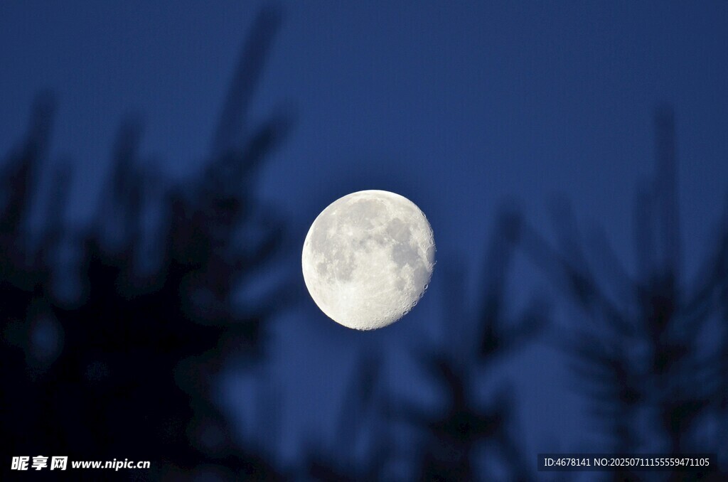 夜空中的皎洁明月