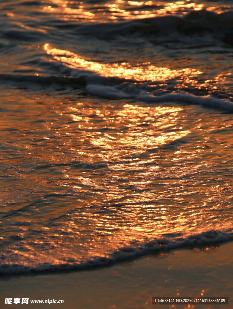 夕阳下的金色海浪