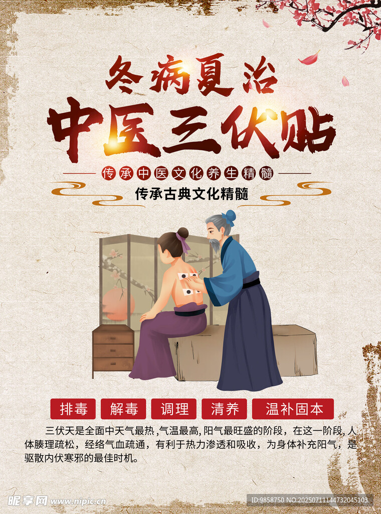 中医三伏贴冬病夏治宣传图