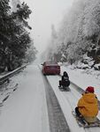雪地公路上的欢乐雪橇之旅