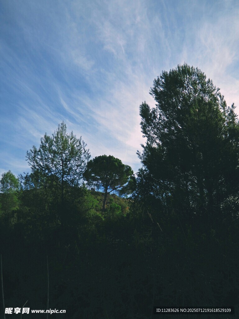 蓝天绿树间的自然景致