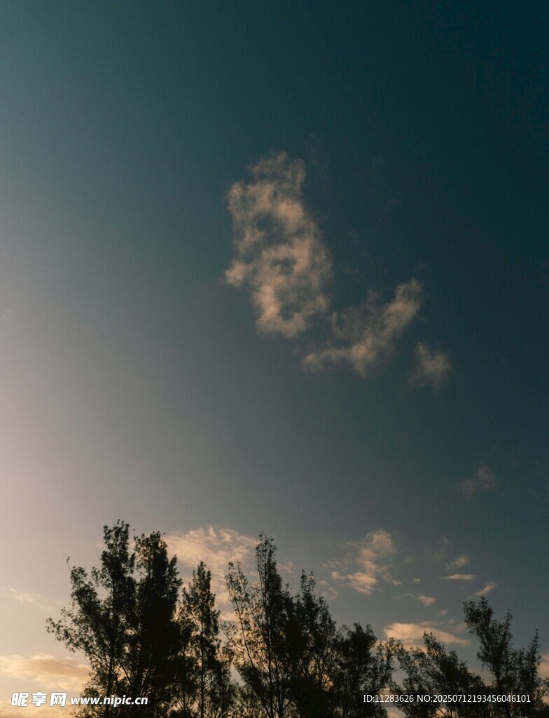 黄昏下的树梢与天空
