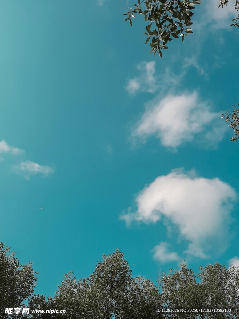 蓝天绿树间的白云景致