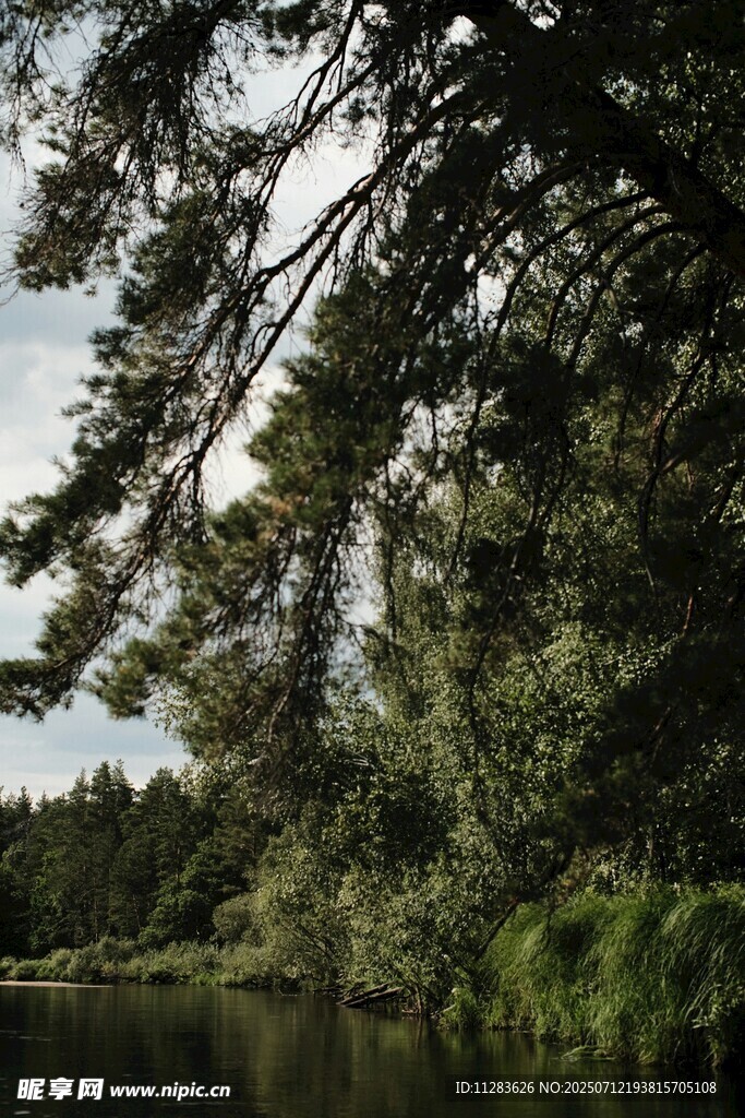 湖畔绿树成荫的自然景致