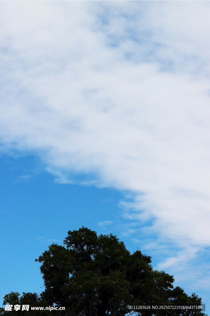 蓝天绿树间的白云景致