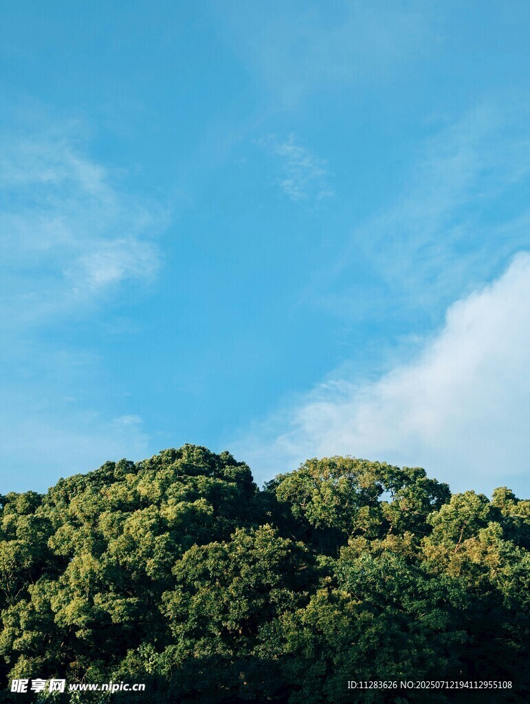 蓝天绿树间的自然美景