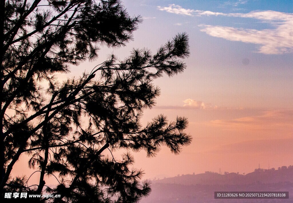夕阳下的树影与天际美景