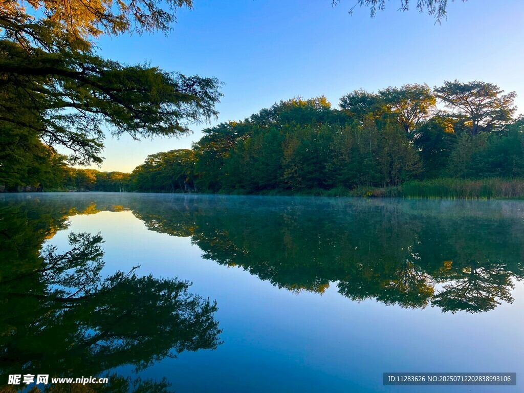 宁静湖畔的自然美景