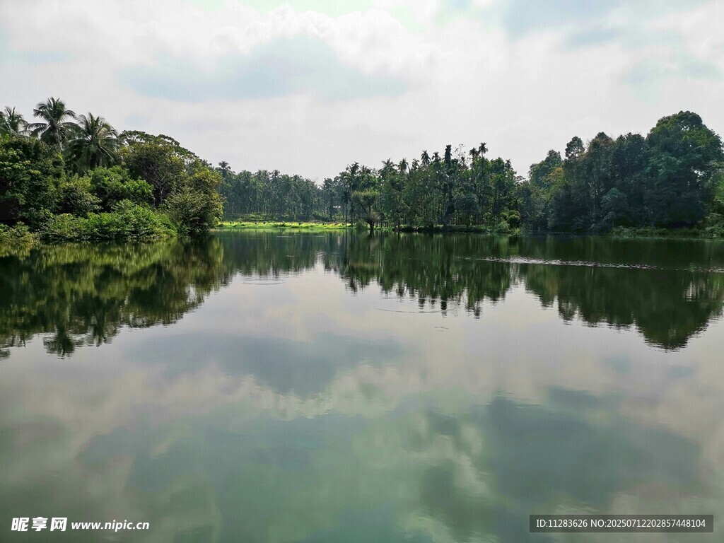 宁静湖面映绿树美景